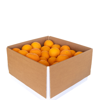 Arance Lane Late - 15 Kg